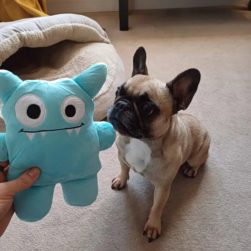 Post by Lola The French Bulldog
